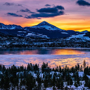 Meet your Posher, Bryan